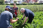 Freiland-Auberginen im Knoblauchsland in Nürnberg. Alexander Herrmann (rechts) mit Gärtnerin Birgit Meier bei der Ernte am Feld.