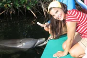 Zahnpflege muss sein! In der Natur geschieht das beim Futtern von Krebstieren oder Muscheln, in der Forschungsstation Dolphin's Cove hilft Anna nach.