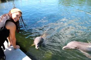 ARD/BR ANNA UND DIE WILDEN TIERE, "Wie pupst der Delfin?", am Samstag (24.01.15) um 07:10 Uhr im ERSTEN. Anna kann ganz nah an die Delfine heran. Delfine sind übrigens keine Fische, sondern Wale - also Säugetiere. Das wird oft verwechselt.