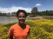 Im Frühjahr beginnt in Südspanien die Balzzeit der Flamingos.