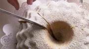 Gugelhupf wird angeschnitten.
