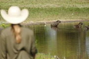 Bei Gefahr - etwa wenn Anna zu nahe kommt - bellt der Chef, um seine Familie zu warnen. Dann flüchten die Tiere.