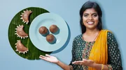 Fromme T&ouml;rtchen &ndash; Zwischen Teig & Tradition Seconda in der Schweiz: Wo geh&ouml;re ich hin? Laavanja Sinnadurai macht Tamilisches Geb&auml;ck.