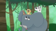 Dog und Puck dürfen auf dem Elefanten Henri reiten.