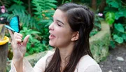 Der blaue Morphofalter gehört zu den schönsten und spektakulärsten Schmetterlingen überhaupt. Weiteres Bildmaterial finden Sie unter www.br-foto.de.