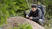 Voller Neugierde geht Biologe Arnaud Maeder dem Leben der größten Ameisenkolonie Europas nach.