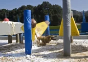 In der rasanten US-Show "WipeOut - Mach dich nass!" wagen sich pro Folge 24 Kandidaten an einen Hindernislauf der Extraklasse - nur der Beste gewinnt am Ende 50.000 Dollar ...