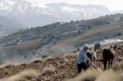 Die Hochebenen des Atlas sind seit jeher eine wichtige Kornkammer für die Versorgung Marokkos. Im Februar wird damit begonnen, die Felder zu bestellen.