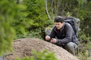 Voller Neugierde geht Biologe Arnaud Maeder dem Leben der größten Ameisenkolonie Europas nach