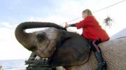 Carmen darf auf dem Elefant sitzen