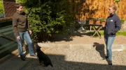 Marina (l.) mit dem Deutschen Jagdterrier Diesel und Sophie Schäfer