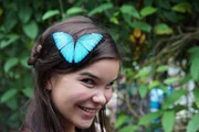 Das ist kein Haarschmuck, sondern ein lebender Morphofalter auf dem Kopf von Tierreporterin Anna.