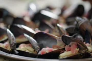 Frisch gefangene, gefüllte Miesmuscheln