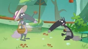 Wolf und Wolfine genießen die Pilzsuche.Productions".