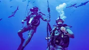 Paul De Gelder and Alec underwater, surrounded by sharks