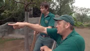 ARD/NDR LEOPARD, SEEBÄR UND CO. FOLGE 114, "Tigerin Taiga auf dem Präsentierteller", am Montag um 16:10 Uhr im ERSTEN. Volker Friedrich weist den Azubi Markus in die Reinigung des Geheges ein.