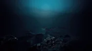 Außerirdisches Raumschiff