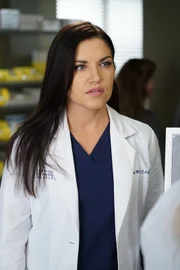 Während Jo eine schwierige Entscheidung treffen muss, versucht Arizona sich im Krankenhaus von Eliza (Marika Dominczyk) fernzuhalten ...