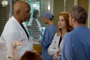 Ein harter Arbeitstag wartet auf Webber (James Pickens Jr., l.), Alex (Justin Chambers, r.) und April (Sarah Drew) ...
