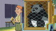 Dietmar, der Betreuer von Huan, schaut bei der Suche nach einem neuen Zuhause für den Panda ganz genau darauf, dass alles nach Vorschrift läuft.