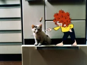 Pumuckl und das Kätzchen. Weiteres Bildmaterial finden Sie unter www.br-foto.de.