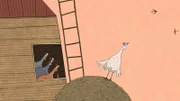 Fliegen zu können wie die die Schwalben, statt immer nur im Hühnerstall zu sitzen und Eier zu legen, wünscht sich das weiße Huhn.
