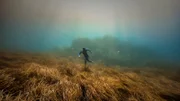 Manche Seegraswiesen existieren seit 100.000 Jahren, doch Fischerei und Umweltverschmutzung setzen dem Seegras zu.