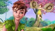 Peter Pan und Tinker Bell wundern sich über seltsame Vorgänge in Nimmerland.