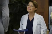 Gerät zwischen die Fronten von Alex und Nathan: Meredith (Ellen Pompeo) ...