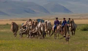 Mongolische Nomaden und ihre Tiere während der Wanderung.  +++ Die Verwendung des sendungsbezogenen Materials ist nur mit dem Hinweis und Verlinkung auf RTL+ gestattet. +++
