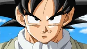 Es herrscht endlich Frieden auf der Erde. Während Goku (Bild) in der Landwirtschaft arbeitet und heimlich trainiert, haben Hohan und Videl geheiratet ...