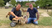 Friso Richter und John David Kraft (re.) mit Rollihund Benny im Tierrefugium Hanau.