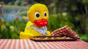 Der rbb zeigt dreizehn neue "Pittiplatsch"-Folgen. Anlass ist der 60. Geburtstag von "Unser Sandmännchen" am 22. November. - Schnatterinchen hat leckere Kekse gebacken.