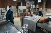 Holmes (Jonny Lee Miller, l.) und Watson (Lucy Liu, M.) werden von Mycrofts Bekannter Lin Wen engagiert, um die Männer ausfindig zu machen, die sie töten wollen. Auch Detective Bell (Jon Michael Hill, r.) ermittelt und bringt bald Licht ins Dunkel ...