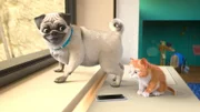Fluffy hat das Handy wieder ausgespuckt. Was ein Glück!