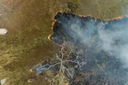 Mit der Technik des Cultural Burning der Aboriginal People wird gezielt trockenes Laub und Unterholz verbrannt.