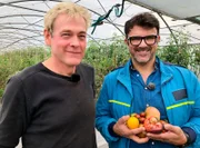 Tarik bei Tomatenzüchter Jörn Meyer.
