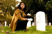 Jordan Cavanaugh (Jill Hennessy) untersucht einen ungeklärten Mord, um kommt schon bald einem Mädchenhändlerring auf die Spur.