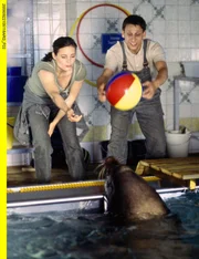 Wenige Stunden nach der erfolgreichen Darmoperation spielt die Robbe Olli wieder fröhlich mit Dr. Mertens und dem Tierpfleger Conny.