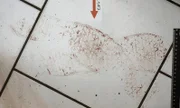 Am Tatort in Berlin, an dem eine Frau brutal mit einem Messer ermordet wurde, findet die Spurensicherung die blutigen Schuhabdrücke des Täters.