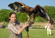 Mit einem Trick ist es Susanne Mertens (Elisabeth Lanz) gelungen, den Steinadler zu fangen.
