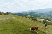 Ein Wanderer auf dem Grenzpanoramaweg mit Blick Richtung Slowenien