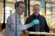 Der Geologe Lutz Hecht (li.) und sein Kollege Ansgar Greshake (re.) im Museum für Naturkunde in Berlin: Die hauseigene Meteoritensammlung umfasst rund 6000 Exemplare.