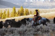 Rancher beim Cutting