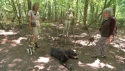 Die Leinenpflicht für Hunde in Berlin bringt viele Hauptstädter auf die Palme und polarisiert die Gemüter. Nathalie Bunke von der Naturwacht im Naturpark Marienfelde ist selbst Hundeliebhaberin. Doch auch die Wildtiere der Stadt liegen ihr am Herzen.