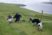 Claire de Haas und Brock Montgomery, Aussteiger und alleinige Bewohner(Herbergseltern) auf der Insel Great Blasket
