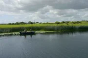 Angler am River „Suck“, einem Nebenfluss des Shannon im Herzen Irlands