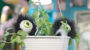 Gruselaugen im Leckerladen