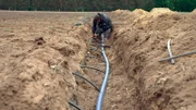 Innovatives Verfahren: Unterflurtröpfchenbewässerung.