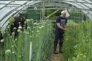 Bio-Landwirt Thomas OíConnor, Tralee County Kerry